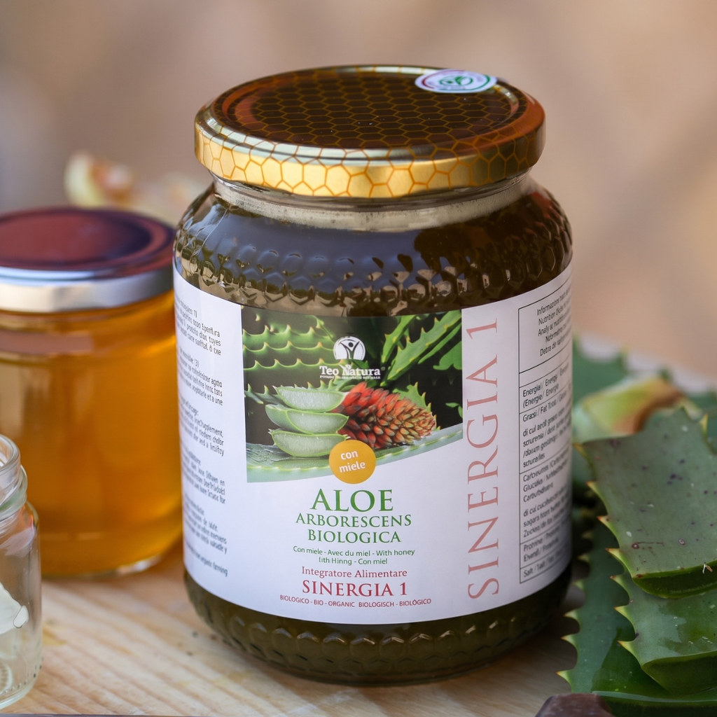 Aloe Arborescens e Miele, Ricetta del Frate, Padre Romano Zago| SINERGIA 1 | 750ml