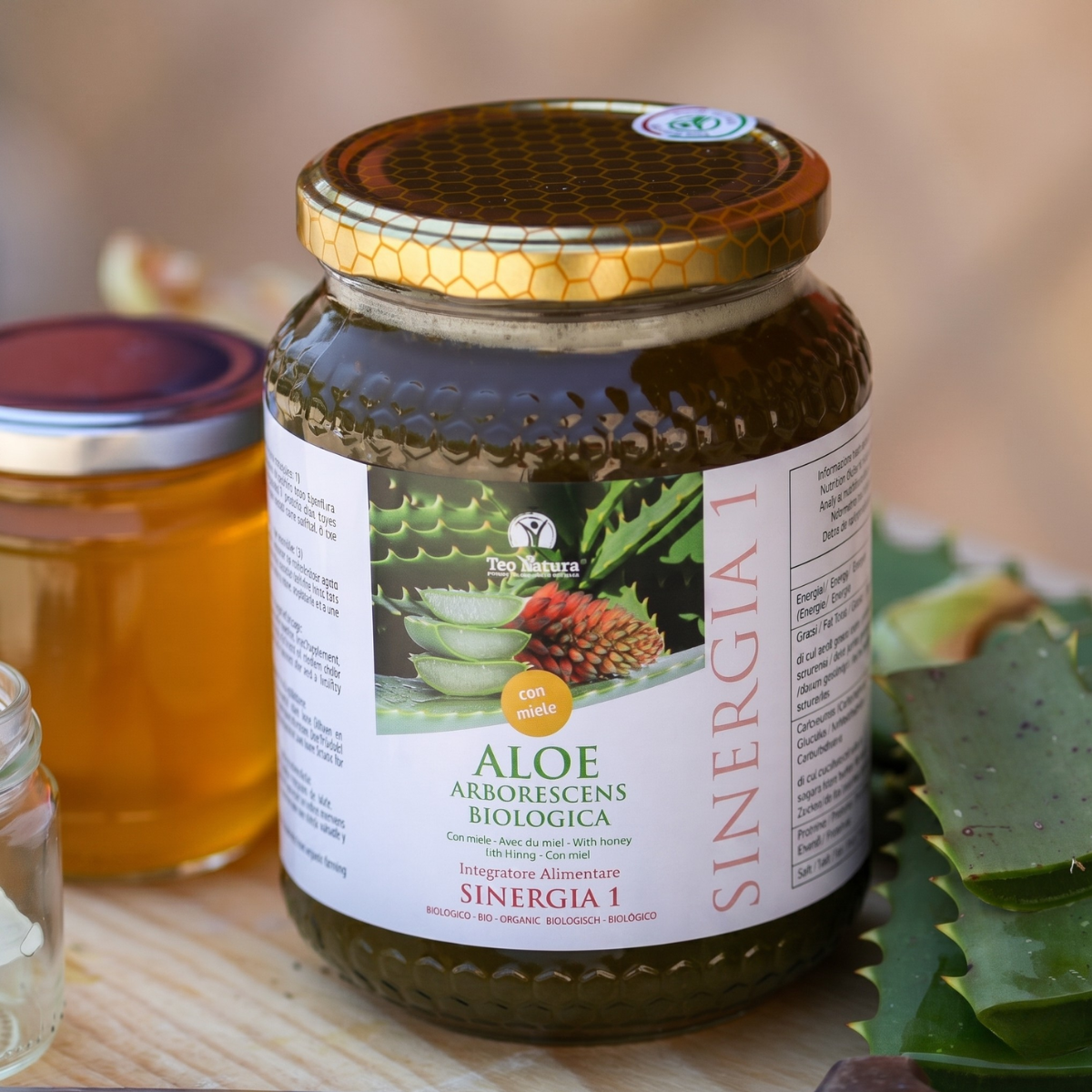 Aloe Arborescens e Miele, Ricetta del Frate, Padre Romano Zago| SINERGIA 1 | 750ml