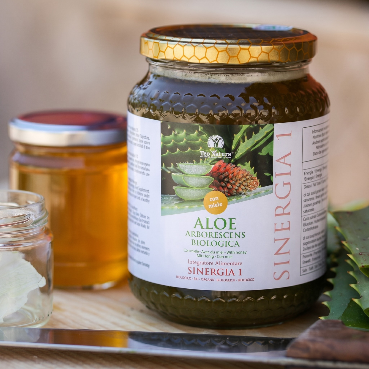 Aloe Arborescens e Miele, Ricetta del Frate, Padre Romano Zago| SINERGIA 1 | 750ml