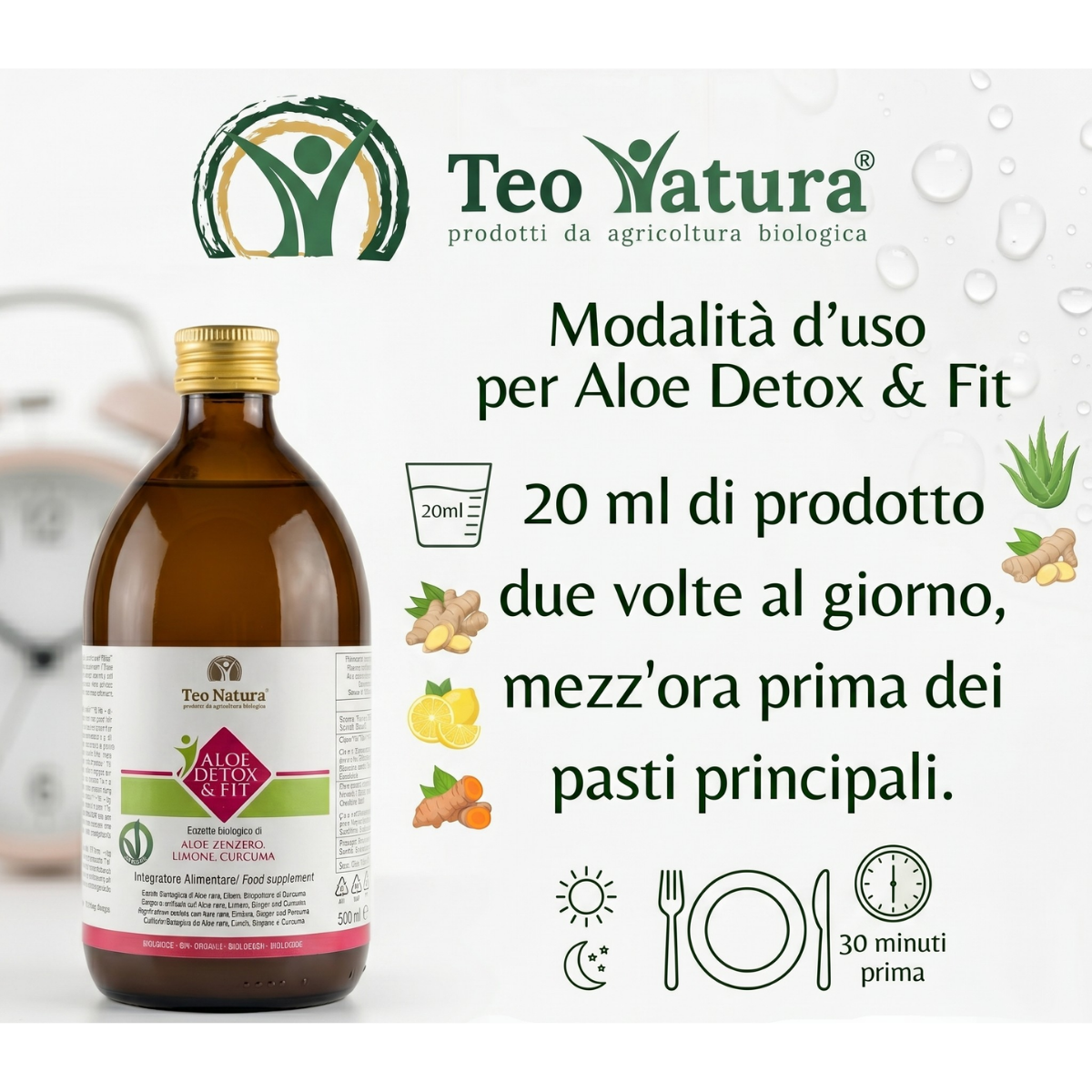 Detox & Fit – Succo Bio Aloe Vera, Zenzero, Limone e Curcuma | Depurativo e Digestivo