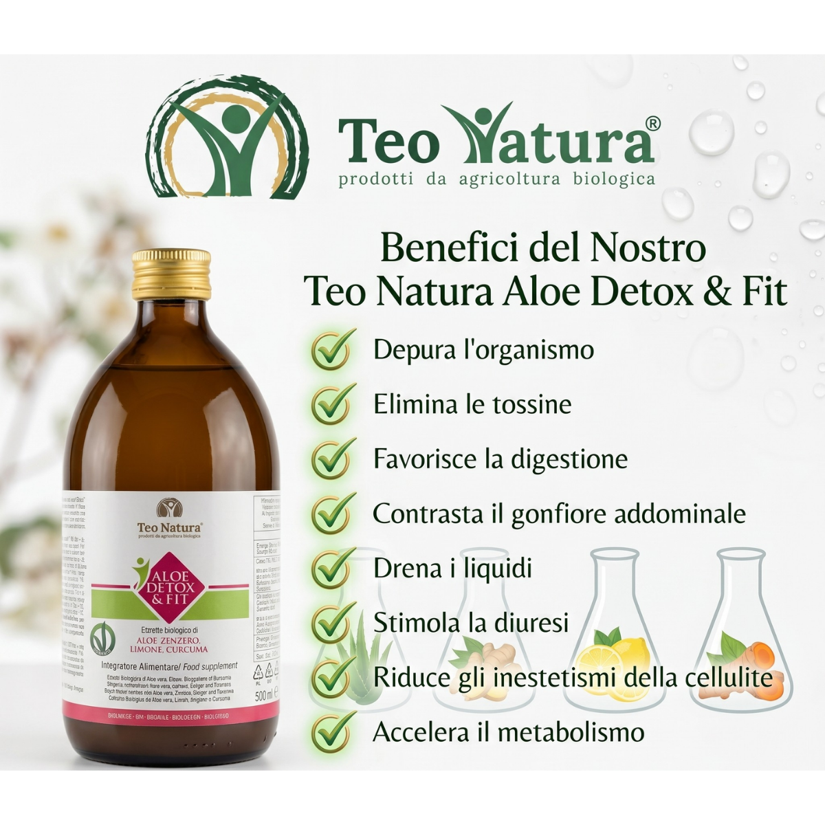 Detox & Fit – Succo Bio Aloe Vera, Zenzero, Limone e Curcuma | Depurativo e Digestivo
