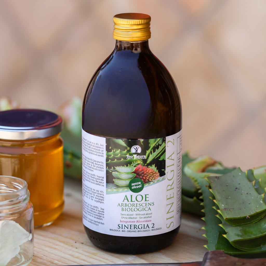 Aloe Arborescens e Miele Padre Zago | SINERGIA 2 | 500ml - Senza Alcool