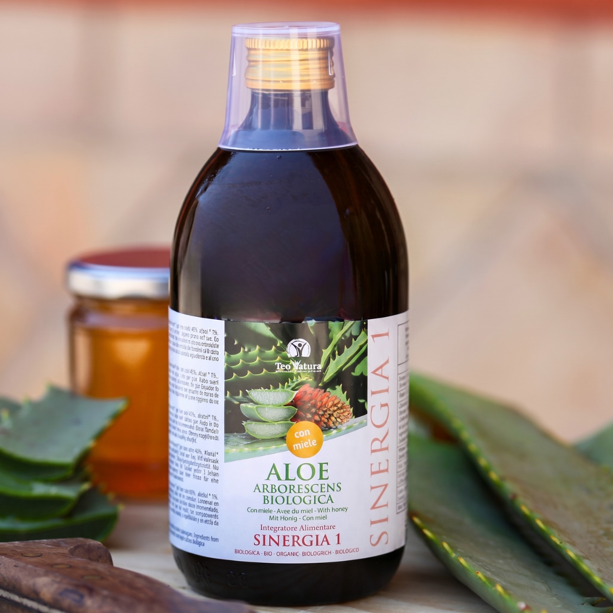 Aloe Arborescens e Miele, Ricetta del Frate, Padre Romano Zago| SINERGIA 1 | 500ml