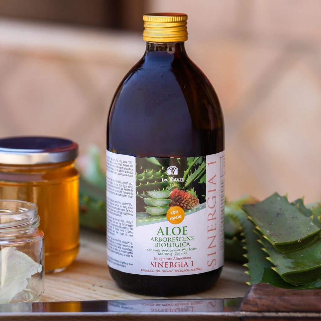 Aloe Arborescens e Miele, Ricetta del Frate, Padre Romano Zago| SINERGIA 1 | 500ml