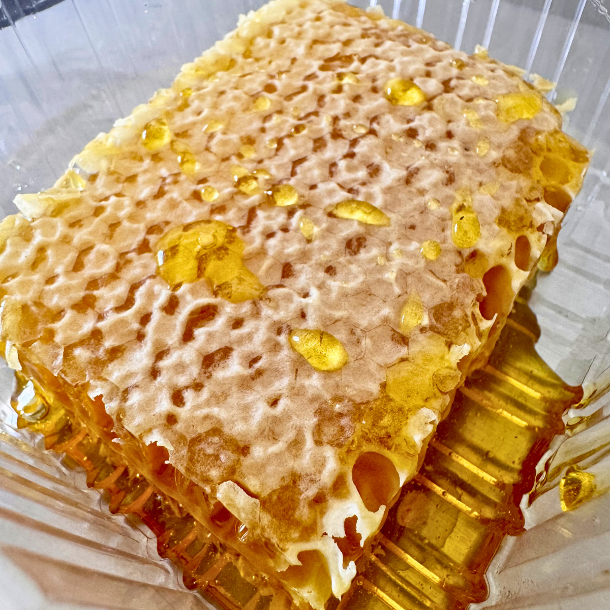 Miele Millefiori Biologico in Favo (200g)